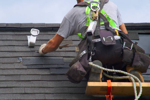 Best Roof Gutter Cleaning  in Home Garden, CA