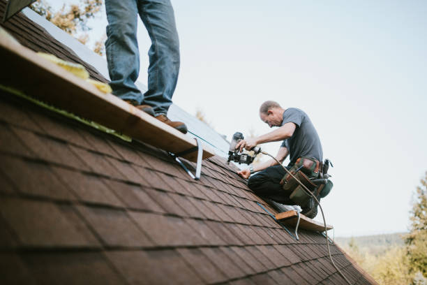 Best Gutter Installation and Roofing  in Home Garden, CA